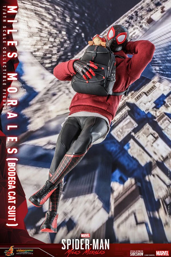 HOT TOYS 12" MARVEL SPIDER-MAN MILES MORALES BODEGA CAT FIGURE 1/6TH SCALE - Image 11