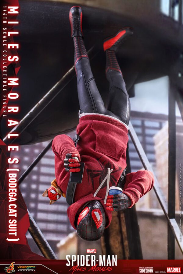 HOT TOYS 12" MARVEL SPIDER-MAN MILES MORALES BODEGA CAT FIGURE 1/6TH SCALE - Image 8