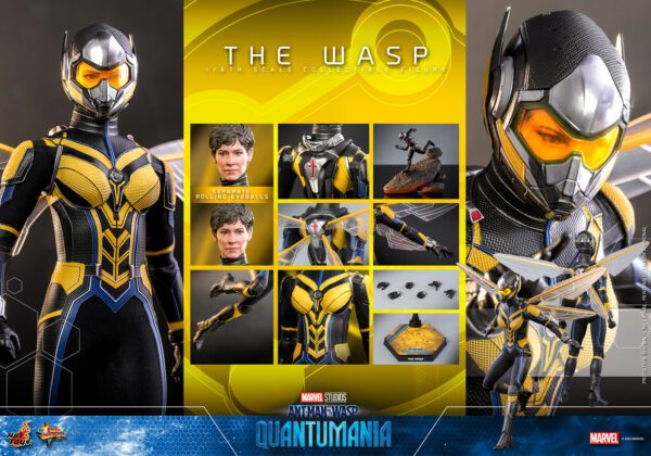 HOT TOYS 12" MARVEL STUDIOS DISNEY ANT-MAN & THE WASP QUANTUMANIA WASP SIXTH 1/6 SCALE FIGURE MMS691 - Image 2