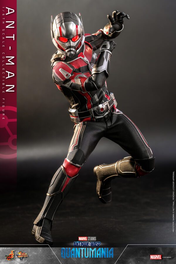 HOT TOYS 12" MARVEL STUDIOS DISNEY ANT-MAN & THE WASP QUANTUMANIA ANT-MAN 1/6 SCALE FIGURE MMS690 - Image 14