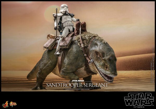 HOT TOYS 12" STAR WARS SANDTROOPER SERGEANT 1/6TH SIXTH SCALE FIGURE MMS721 ANH - Image 17