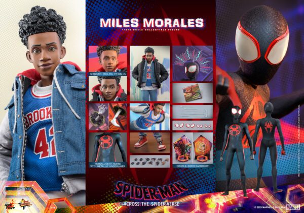 HOT TOYS 12" Spider-Man: Across the Spider-Verse Spider-MAN MMS710 1/6TH MILES MORALES - Image 2